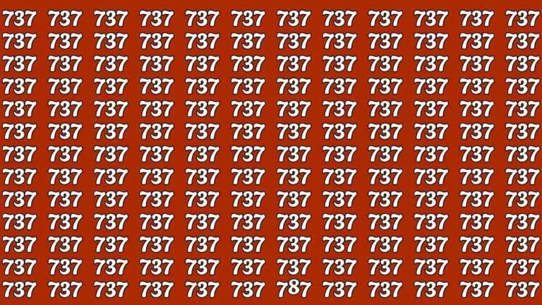 Challenge Your Perception Find 787 Among 737s in 7 Seconds