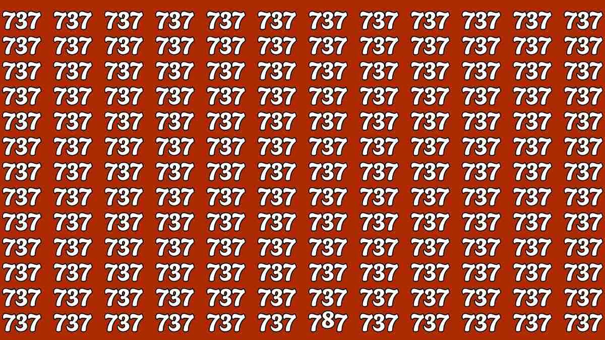Challenge Your Perception Find 787 Among 737s in 7 Seconds