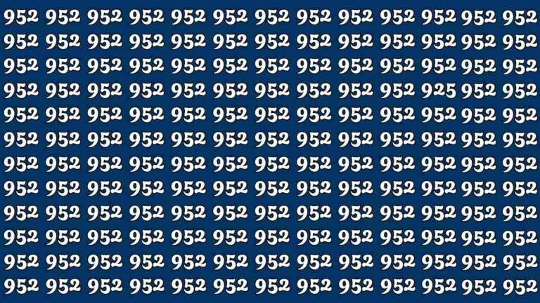 Quick Illusion Challenge Spot 925 Hidden Among 952s in 9 Seconds