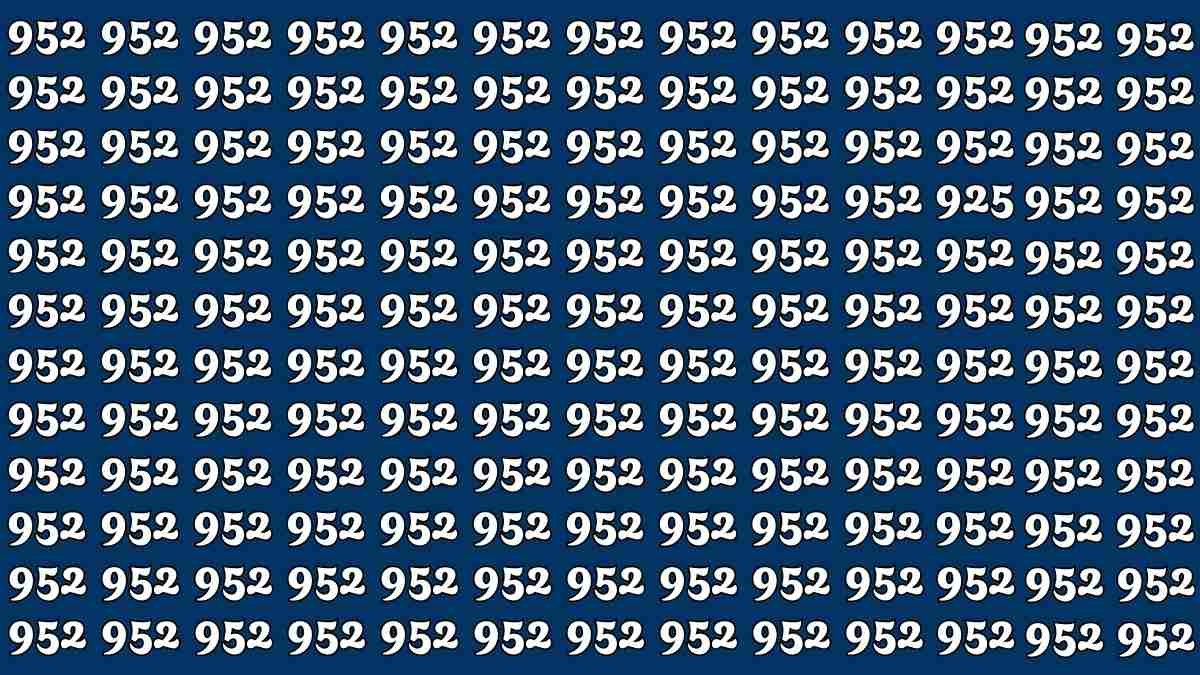Quick Illusion Challenge Spot 925 Hidden Among 952s in 9 Seconds