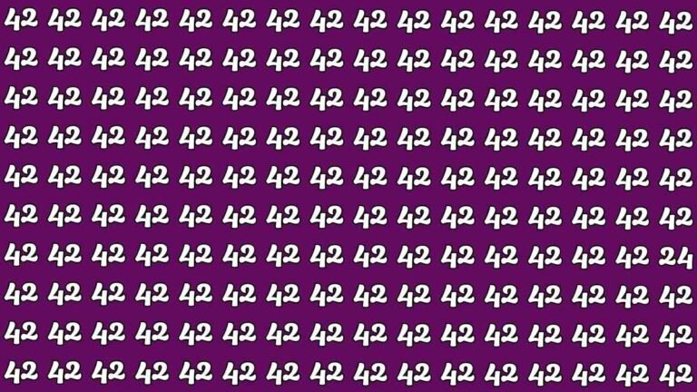 Quick Visual Challenge Find the Hidden 24 Among 42s in 7 Seconds