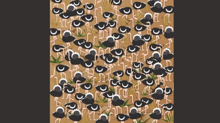 So now you know where the umbrella is hidden among the ostriches in this Optical Illusion Challenge, and you've all had fun solving it. By practicing these types of puzzles, your IQ will rise, as will your observation and problem-solving abilities.