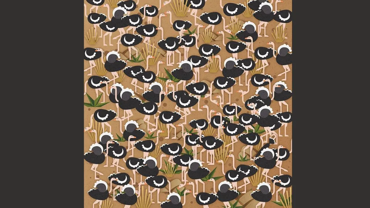 So now you know where the umbrella is hidden among the ostriches in this Optical Illusion Challenge, and you've all had fun solving it. By practicing these types of puzzles, your IQ will rise, as will your observation and problem-solving abilities.