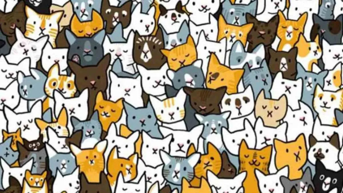 This Optical Illusion Challenge Will Test Your Visual Skills! Can You Spot The Bunny Among Cats In 11 Seconds?